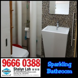 Blk 295B Compassvale Crescent (Sengkang), HDB 5 Rooms #166430812